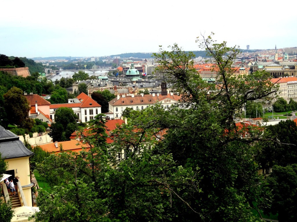 DSC03162 (Large).JPG
