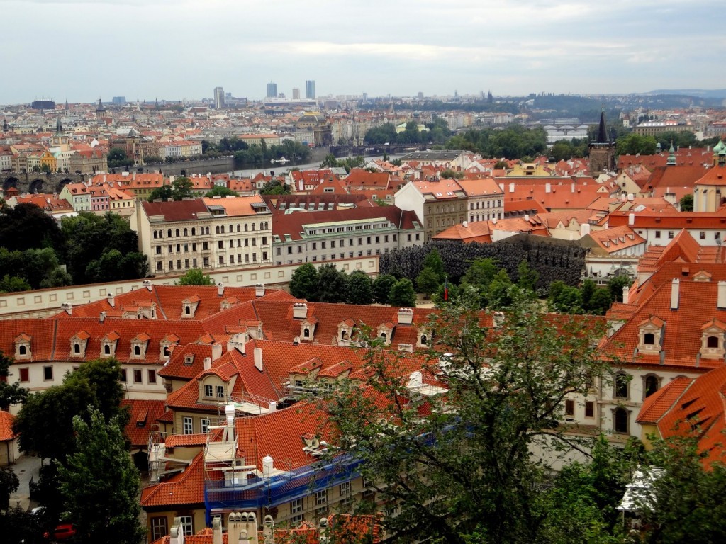 DSC03163 (Large).JPG