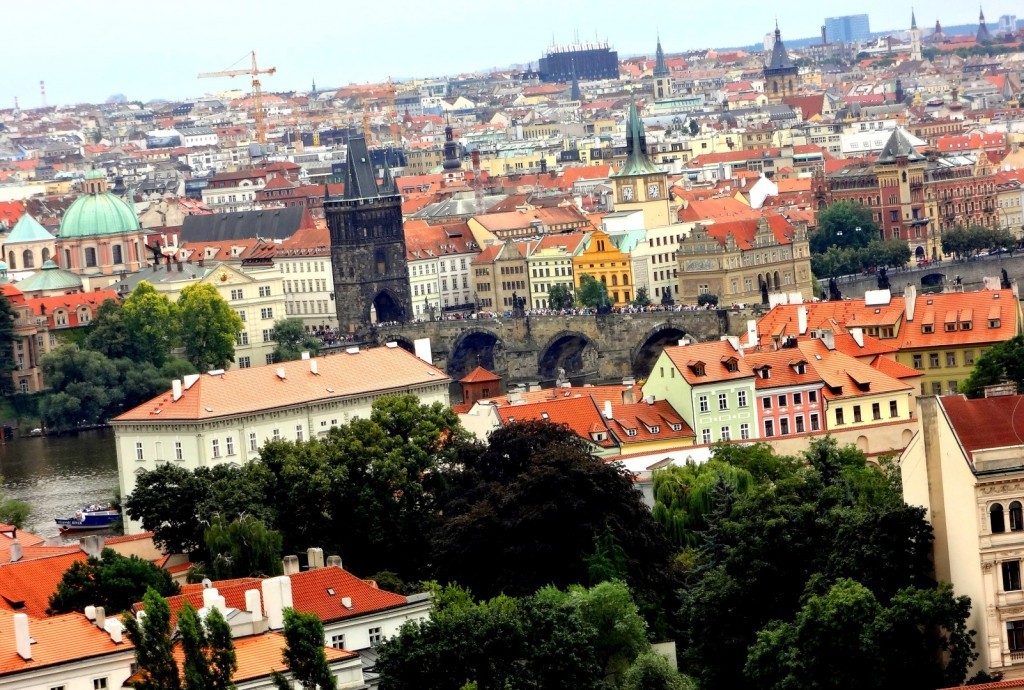 DSC03165 (Large).JPG