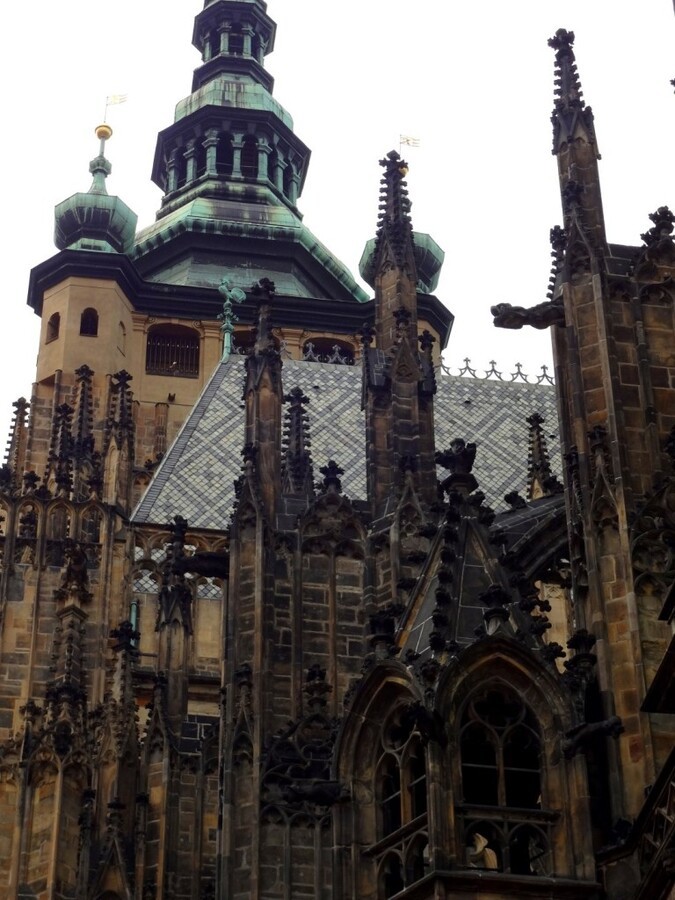 DSC03184 (Large).JPG