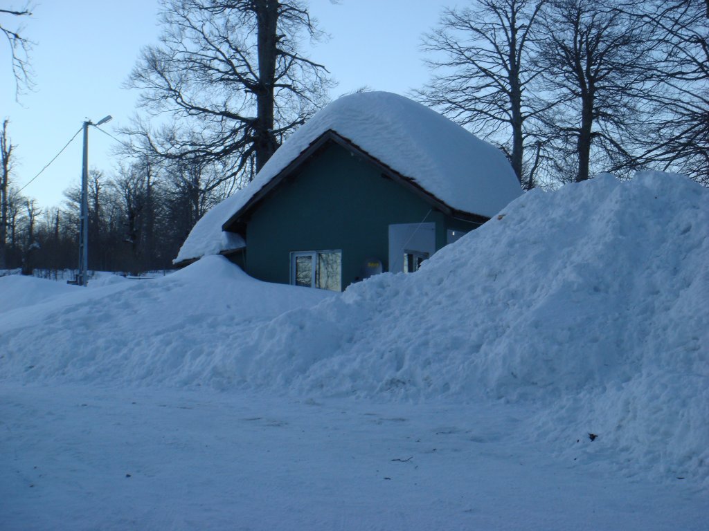 DSC03209.JPG