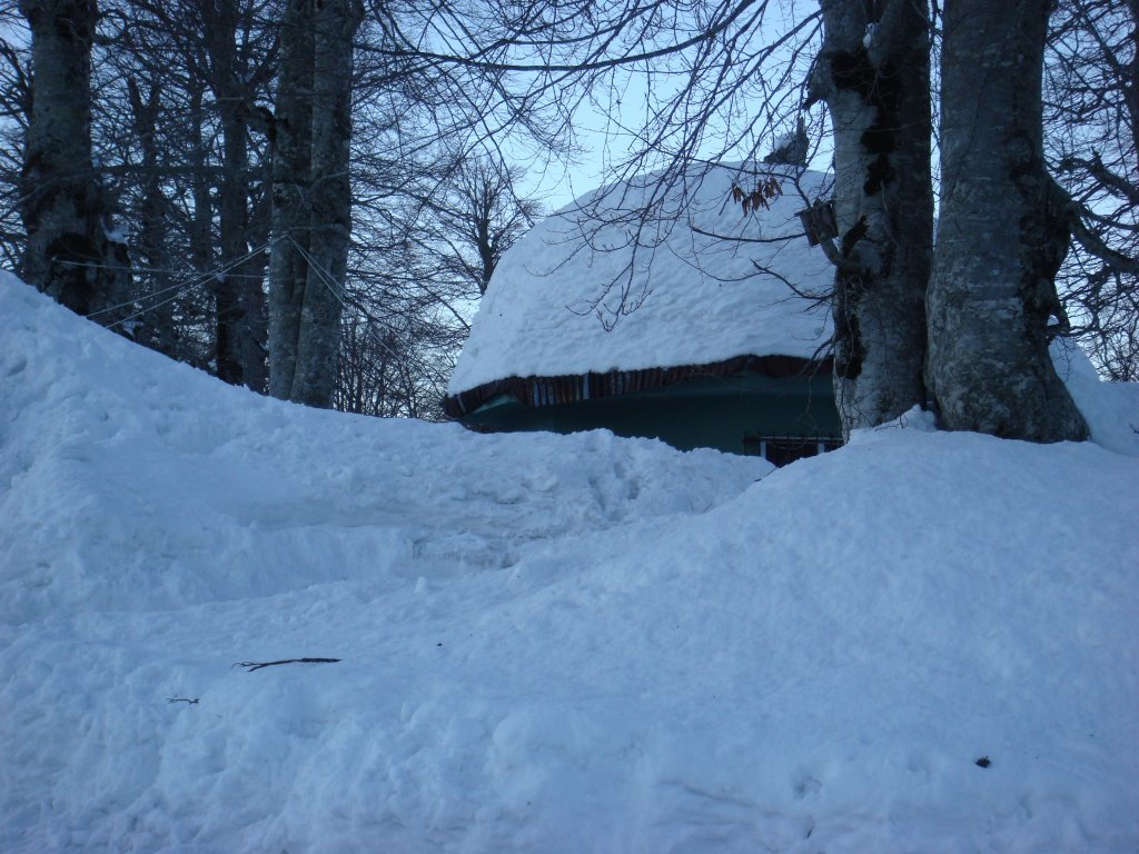 DSC03210.JPG
