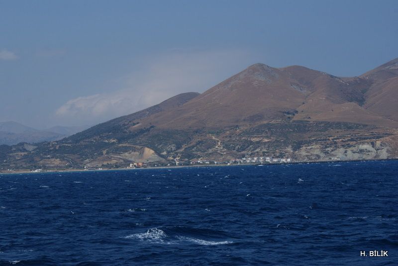 DSC03225.jpg