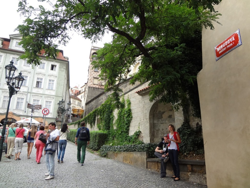 DSC03245 (Large).JPG