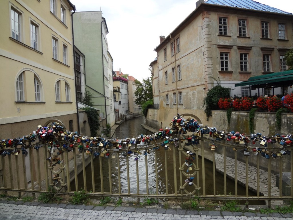 DSC03287 (Large).JPG
