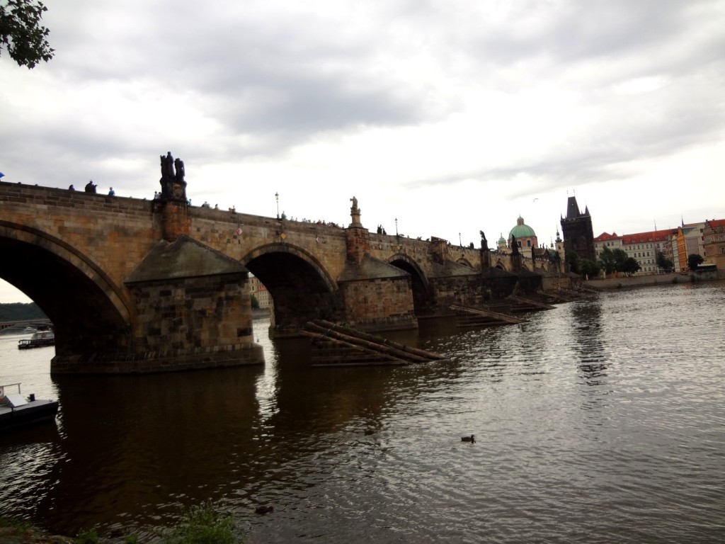 DSC03294 (Large).JPG