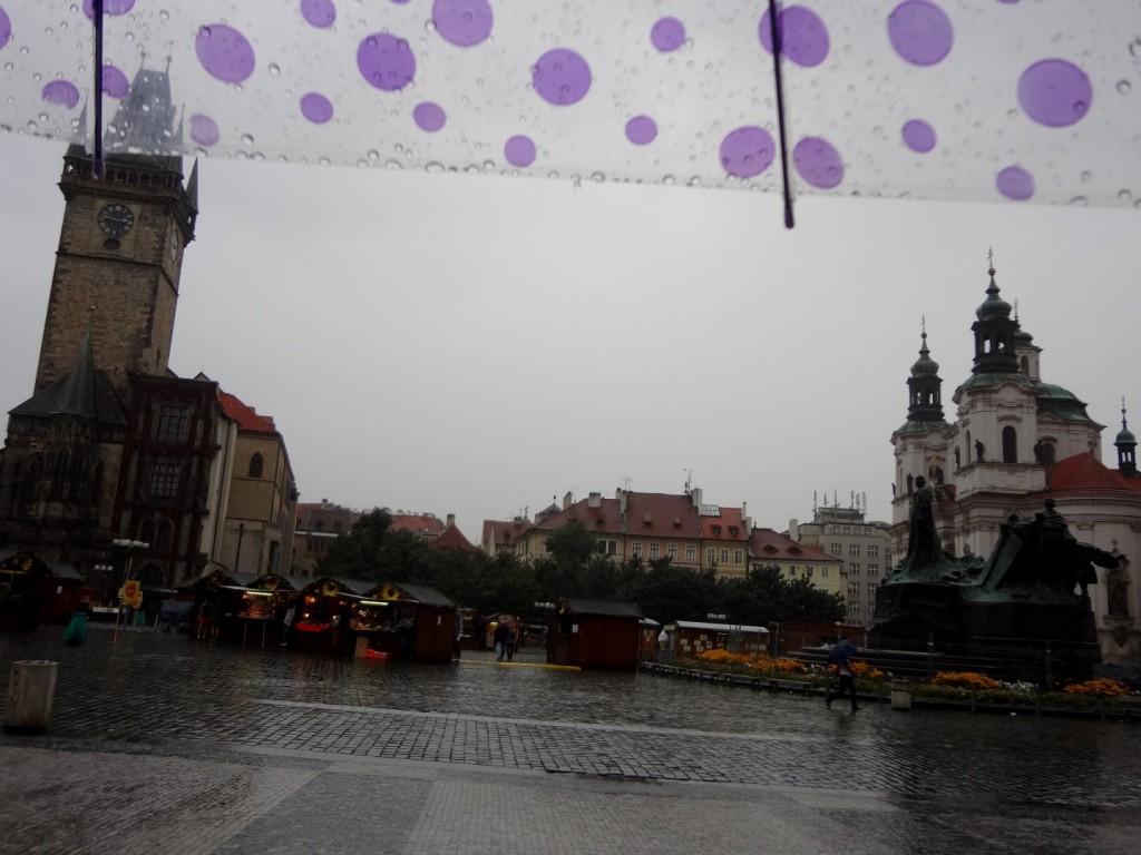 DSC03313 (Large).JPG