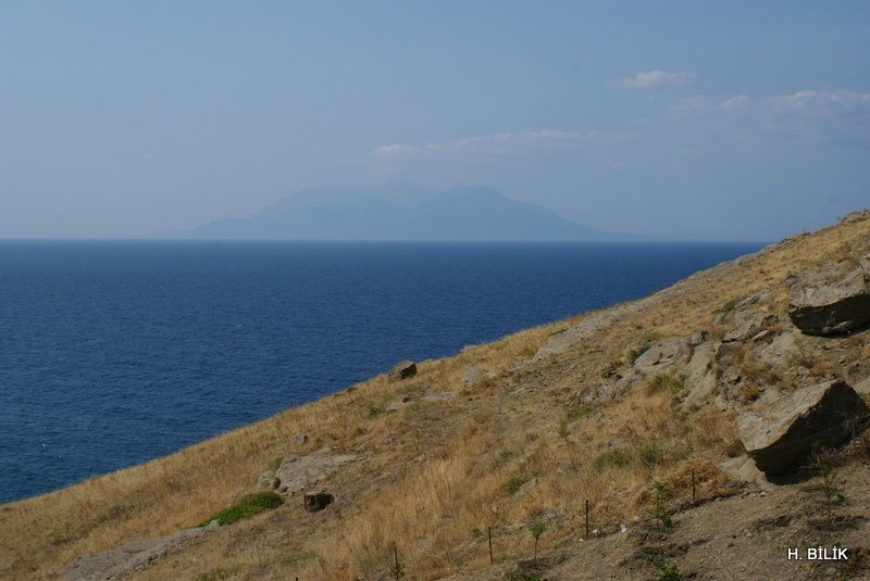 DSC03349.jpg