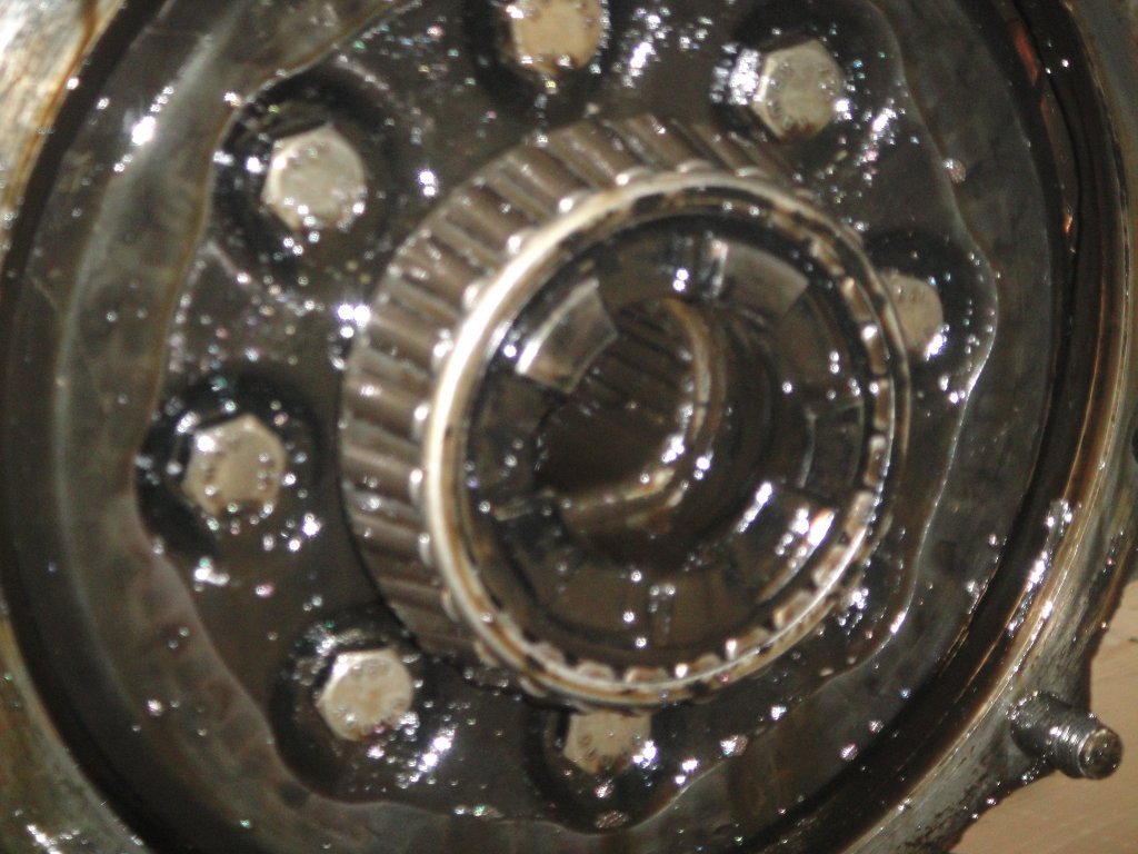 DSC03437.JPG