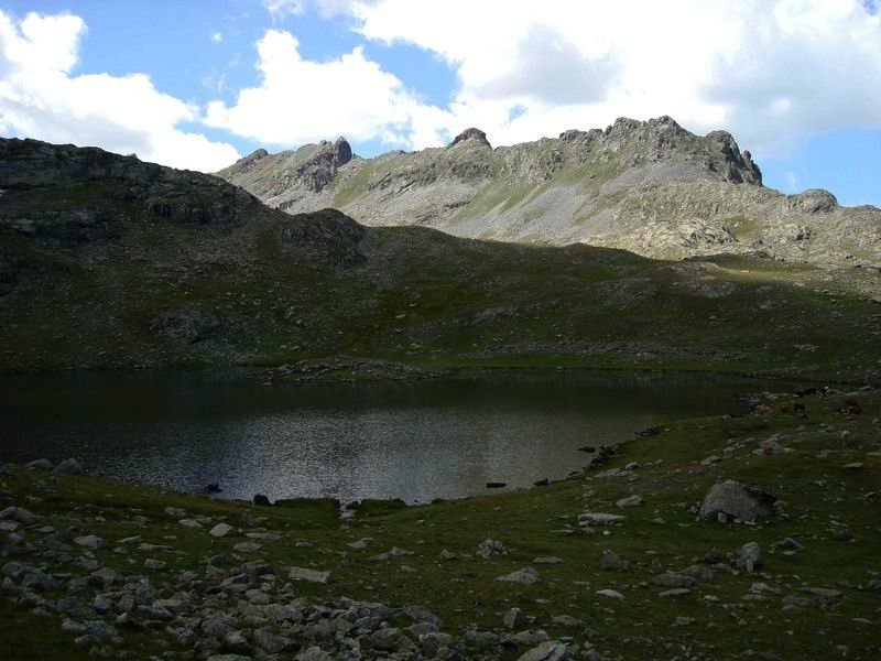 DSC03452.jpg