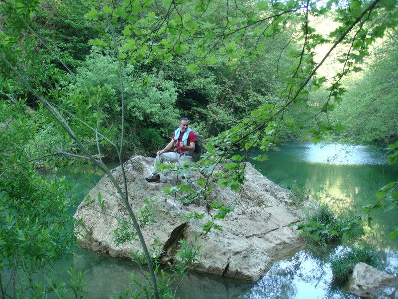 DSC03484.jpg
