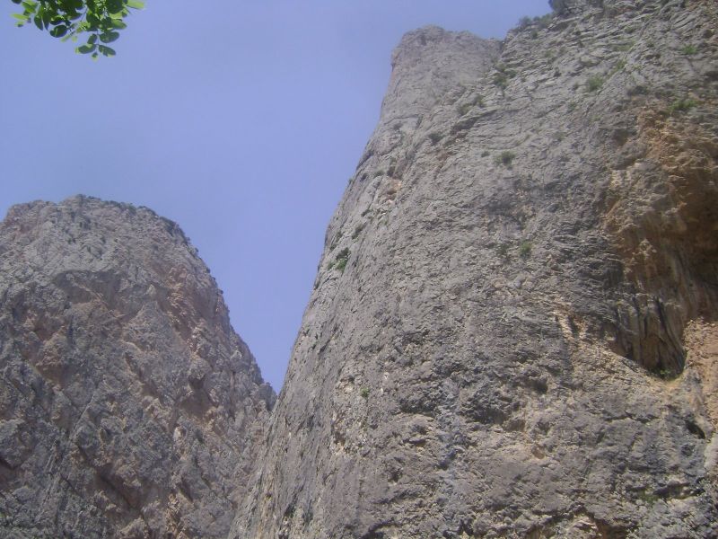 DSC03488.jpg