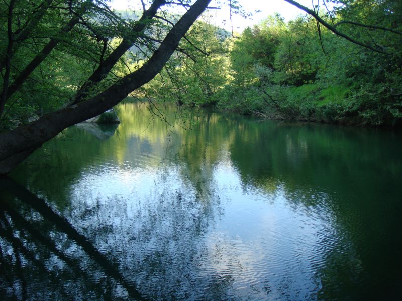 DSC03504.jpg