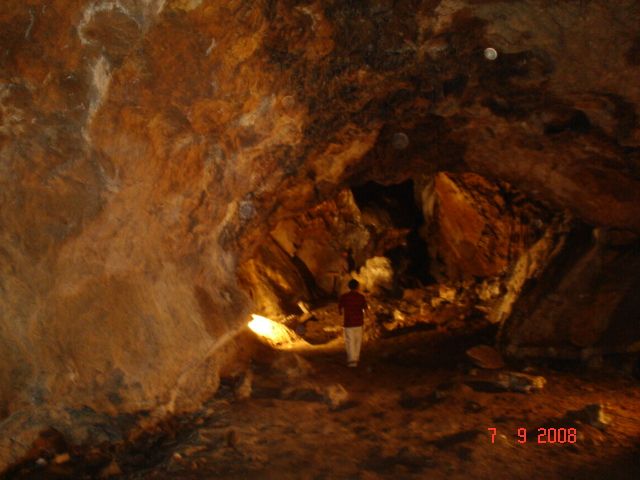 DSC03595.jpg