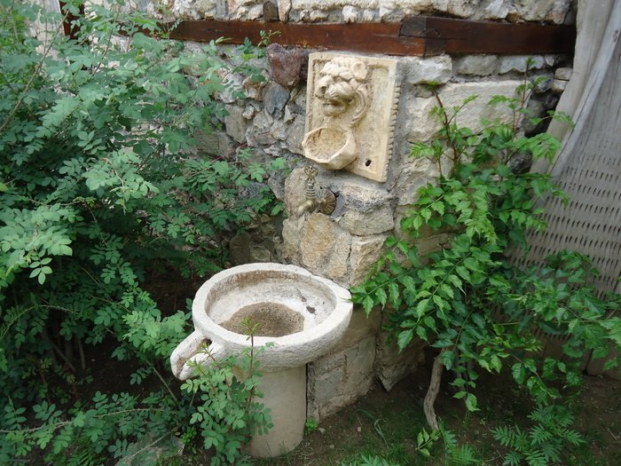 DSC03750.JPG