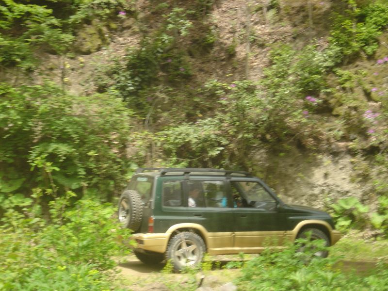 DSC03794.jpg