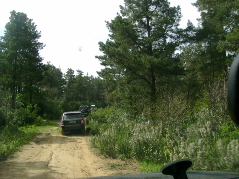 DSC03842 (800x600).jpg