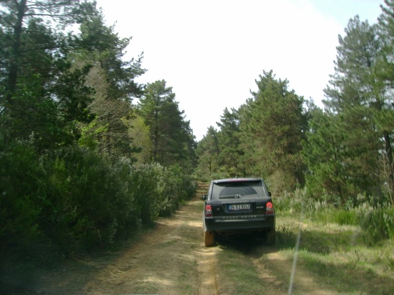 DSC03843 (800x600).jpg