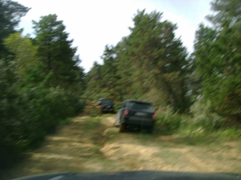 DSC03844 (800x600).jpg