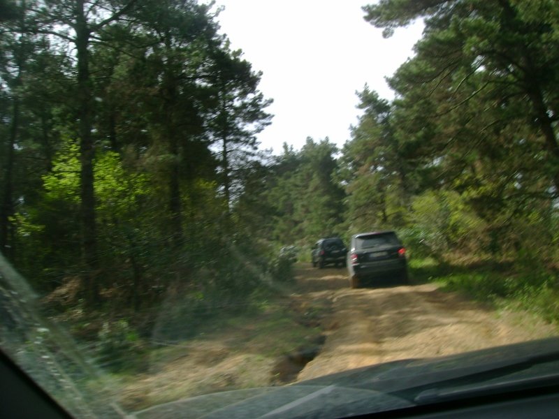 DSC03845 (800x600).jpg