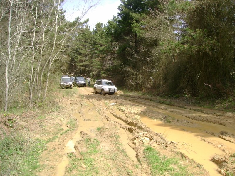 DSC03849 (800x600).jpg