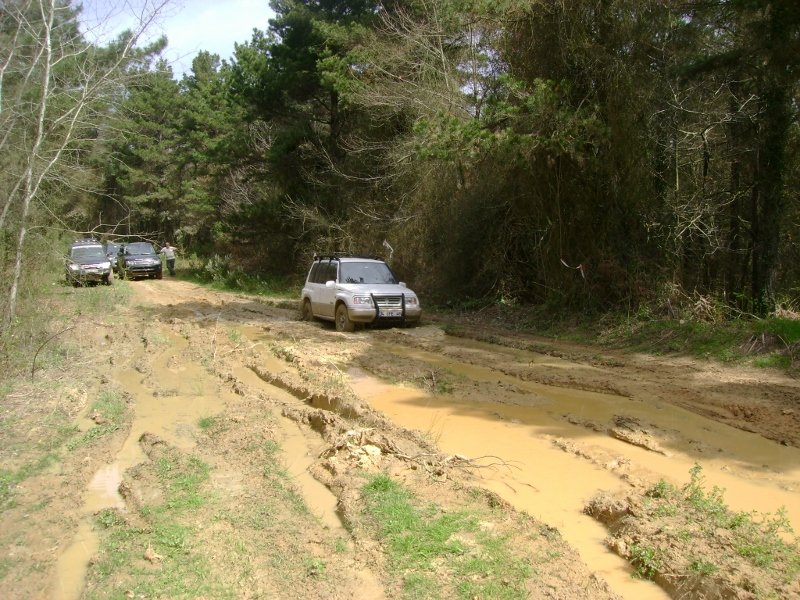 DSC03850 (800x600).jpg