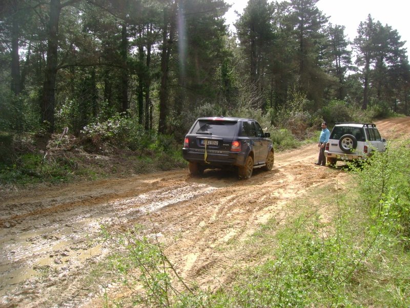 DSC03854 (800x600).jpg