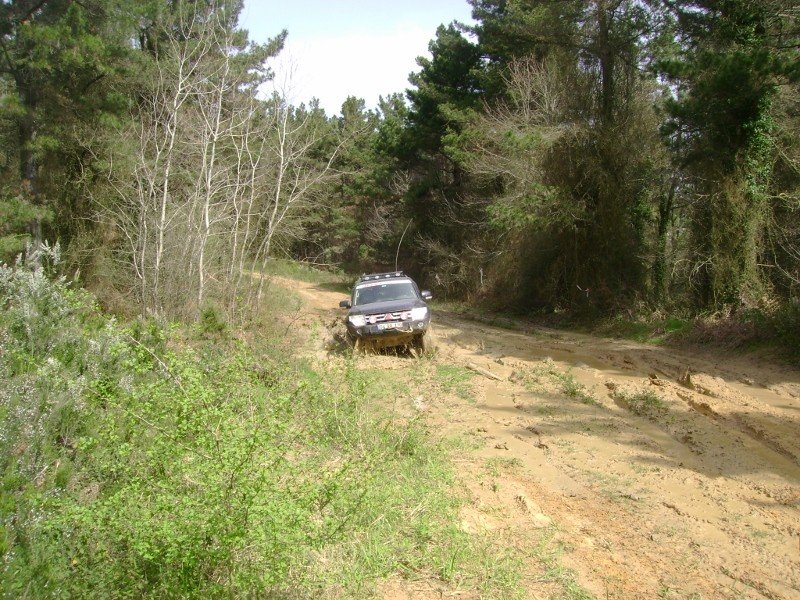 DSC03857 (800x600).jpg