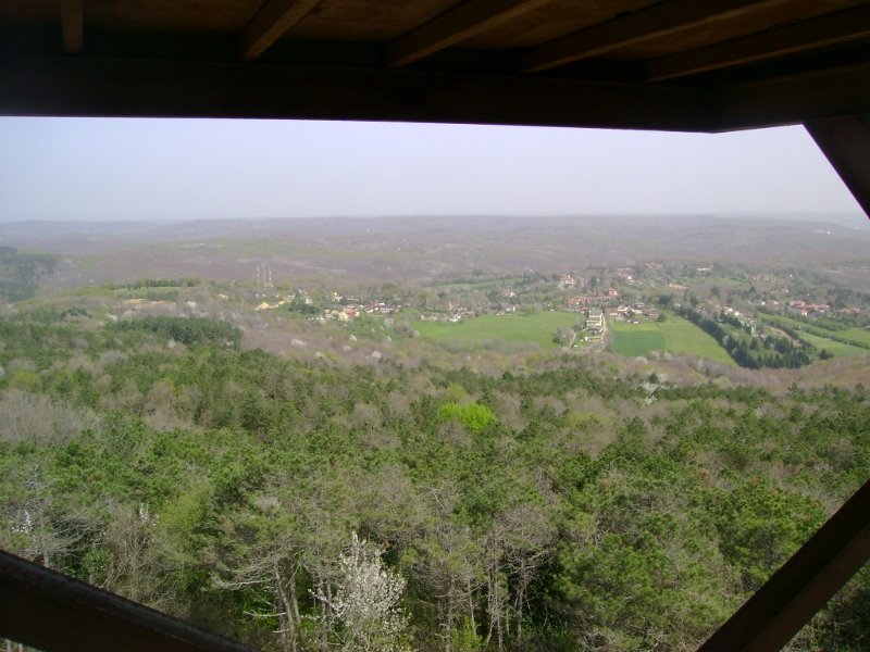 DSC03861 (800x600).jpg