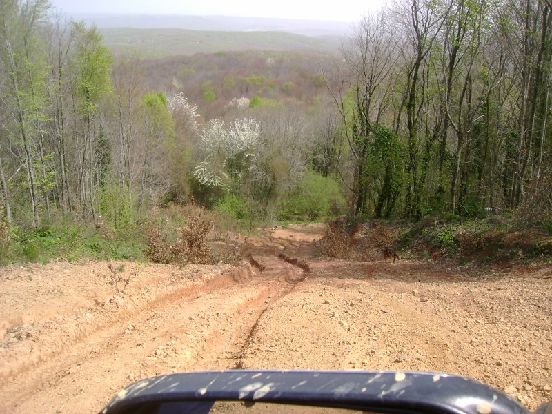 DSC03877 (800x600).jpg