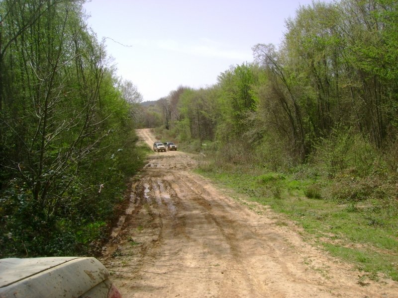 DSC03880 (800x600).jpg