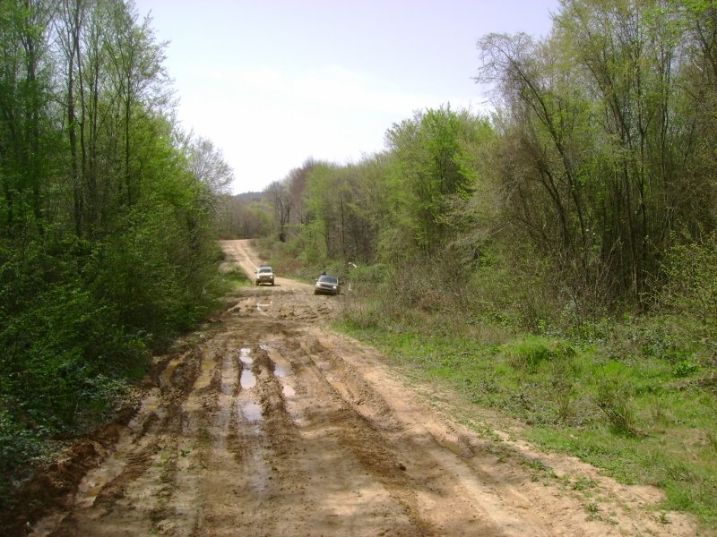 DSC03882 (800x600).jpg