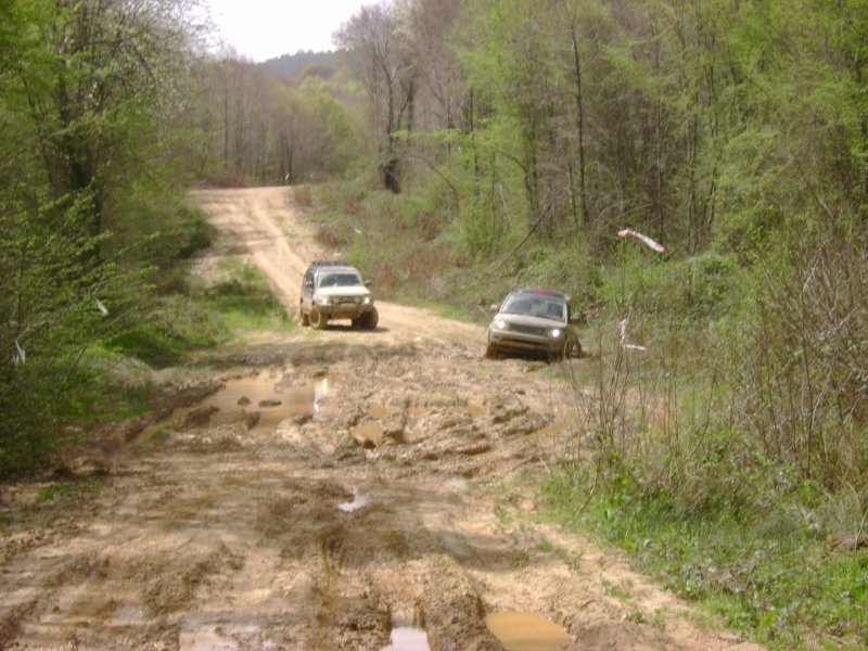 DSC03883 (800x600).jpg