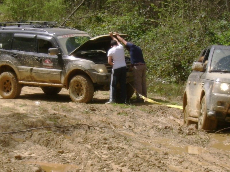 DSC03885 (800x600).jpg