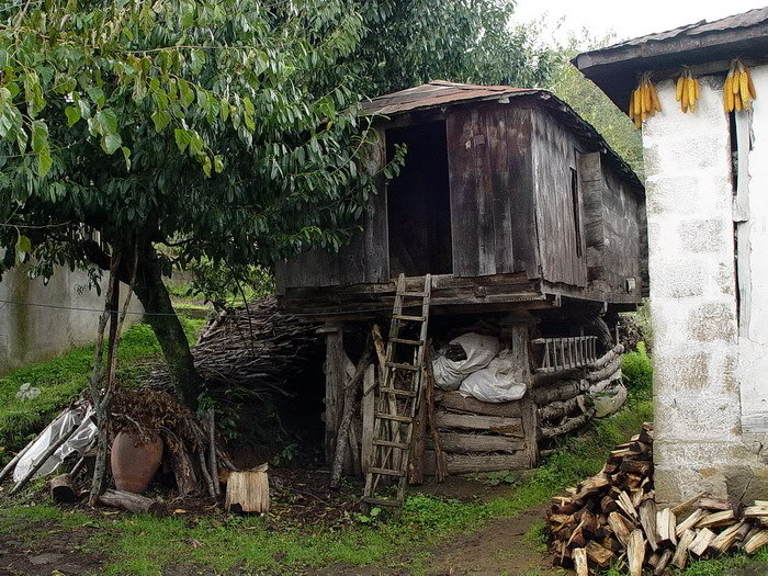 DSC03896.jpg