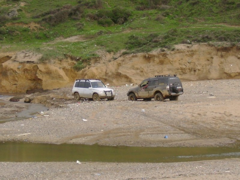 DSC03901 (800x600).jpg