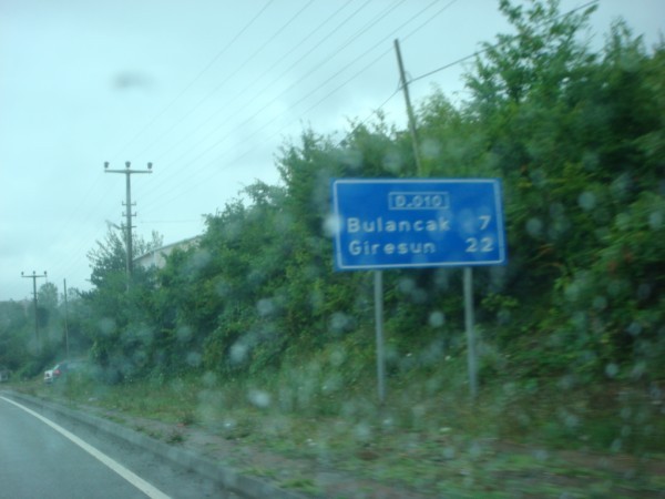 DSC03941.jpg