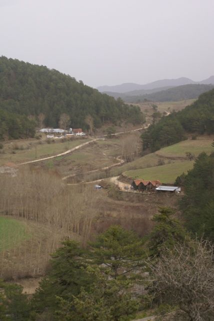 DSC04054.jpg