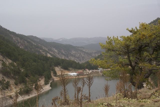 DSC04062.jpg