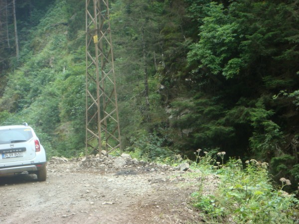 DSC04075.jpg