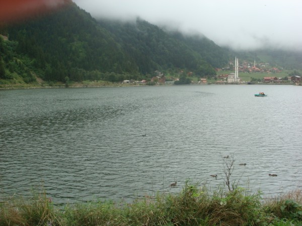 DSC04080.jpg