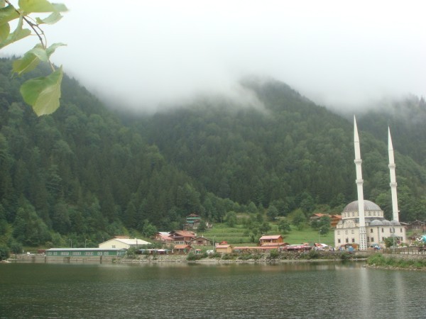 DSC04090.jpg