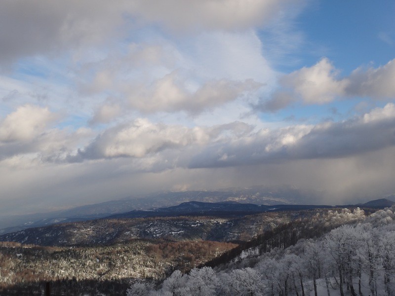 DSC04100.JPG