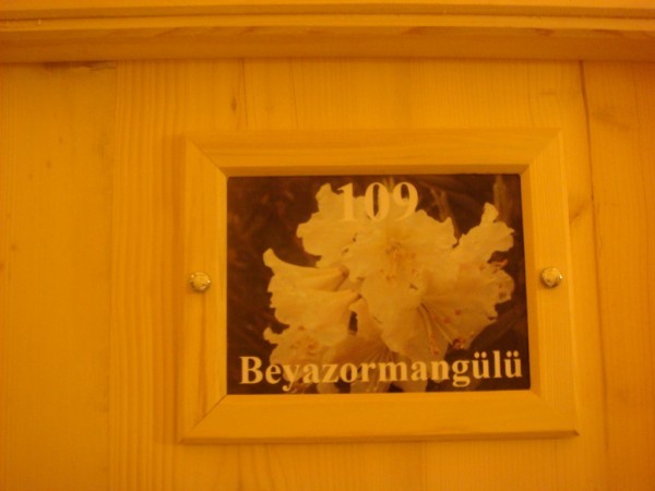 DSC04124.jpg