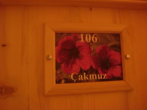 DSC04130.jpg