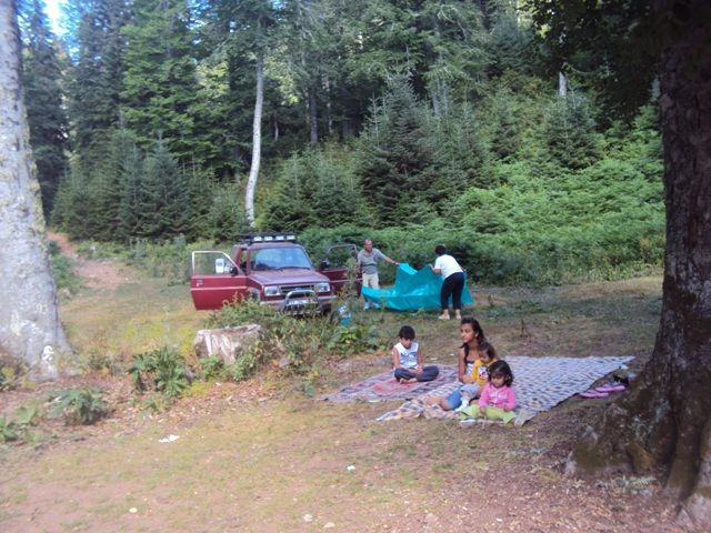 DSC04165.jpg