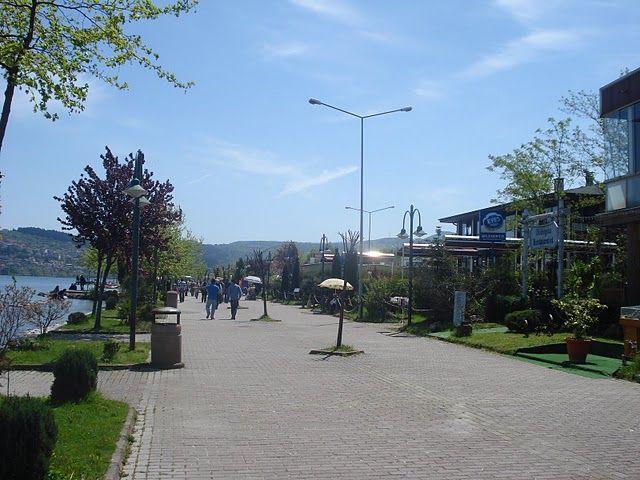 DSC04198.jpg