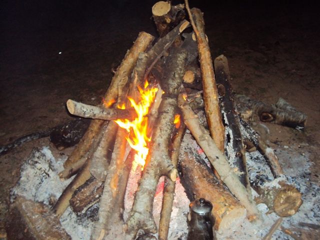 DSC04206.jpg