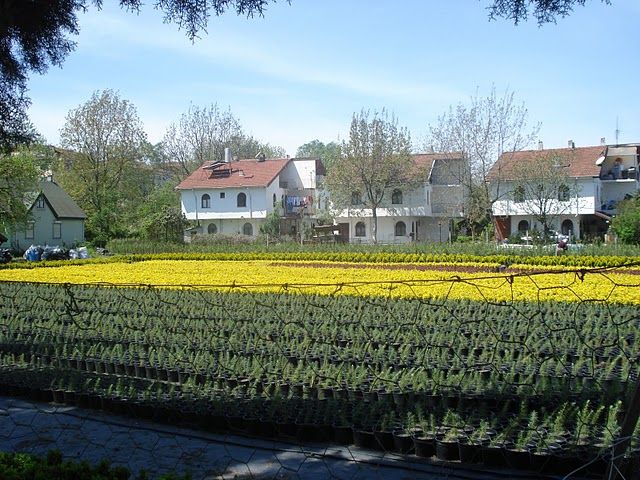 DSC04208.jpg
