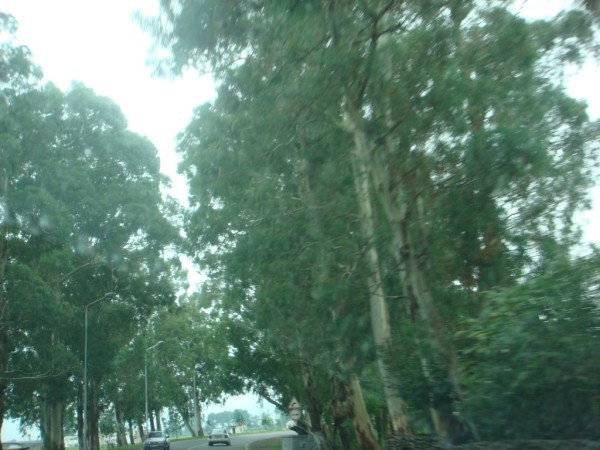 DSC04209.jpg